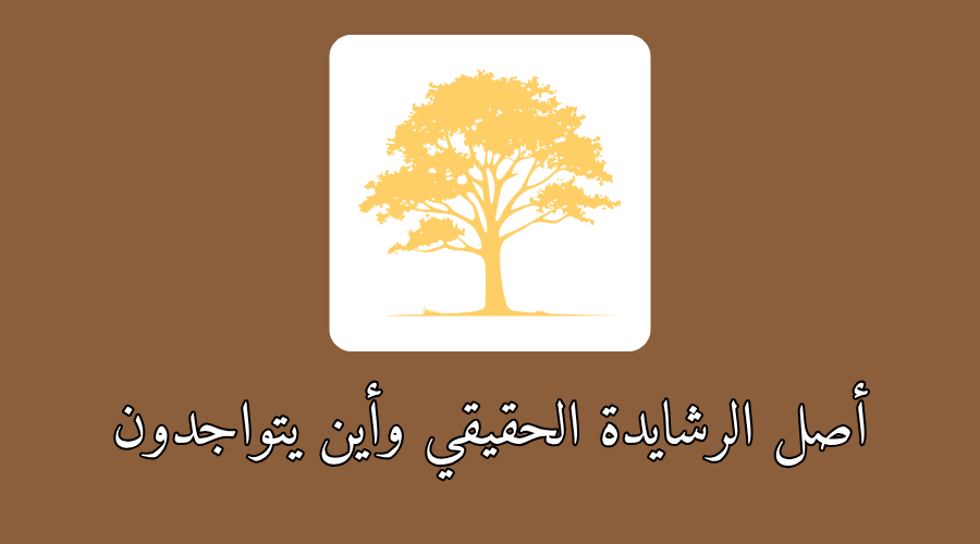 أصل الرشايدة الحقيقي وأين يتواجدون