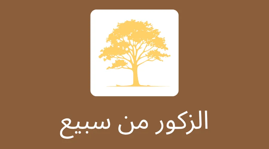 الزكور من سبيع