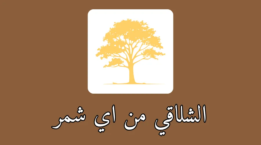 الشلاقي من اي شمر
