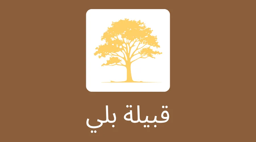 قبيلة بلي