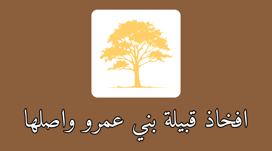 افخاذ قبيلة بني عمرو واصلها