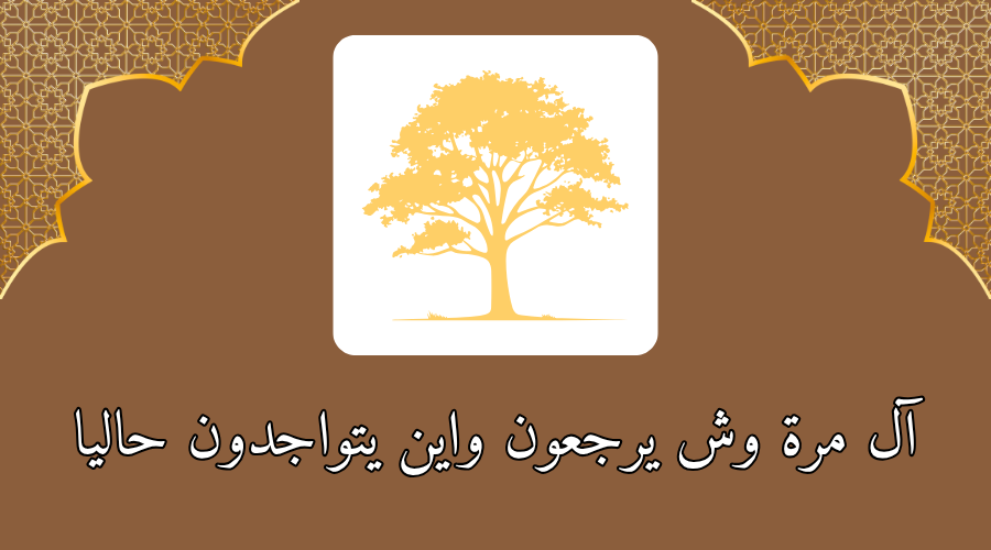 آل مرة وش يرجعون واين يتواجدون حاليا